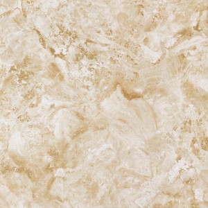 Gạch lát sàn Trường Thịnh GENESIS SERIES C66J48P